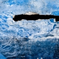 Boatscape-16