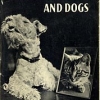catsdogs