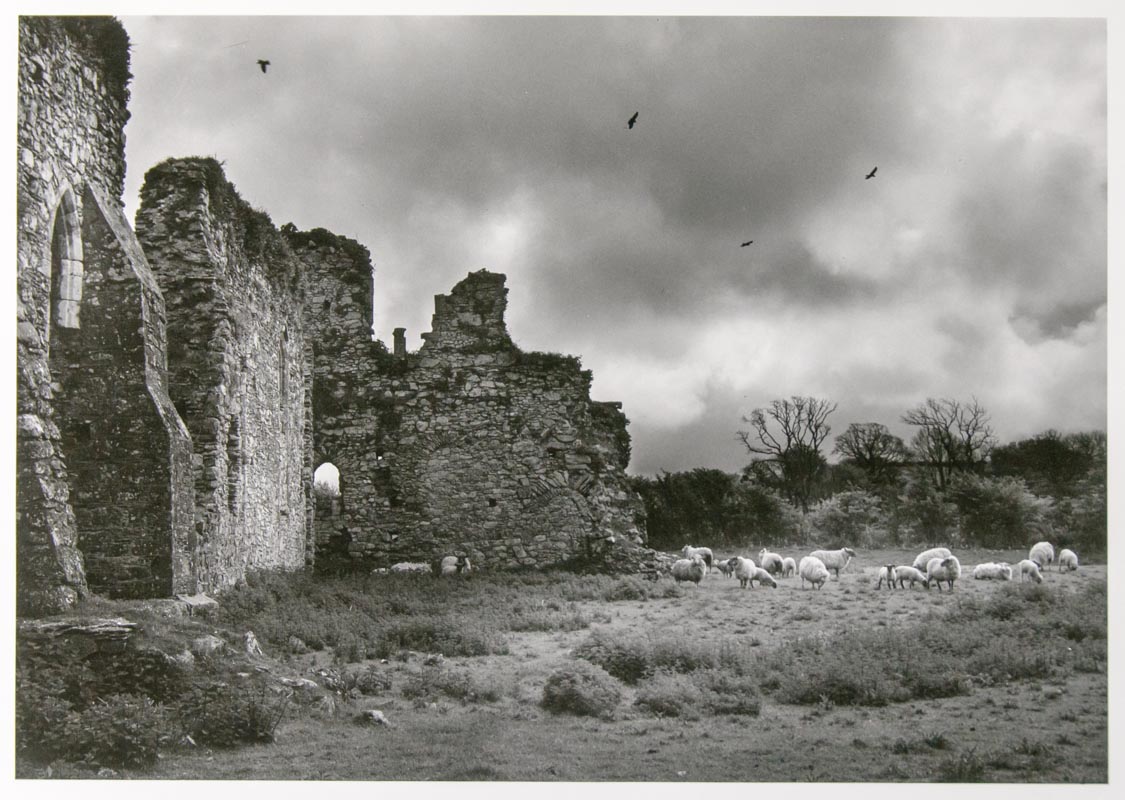 Dunbrody Abbey, Co. Wexford, Ireland