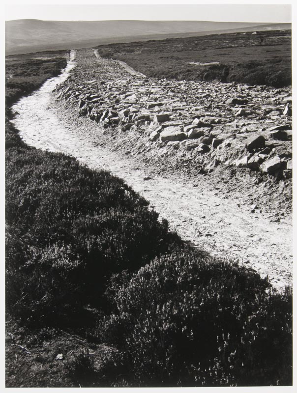 Wade's Causeway, Wheeldale Moor, East Yorkshire