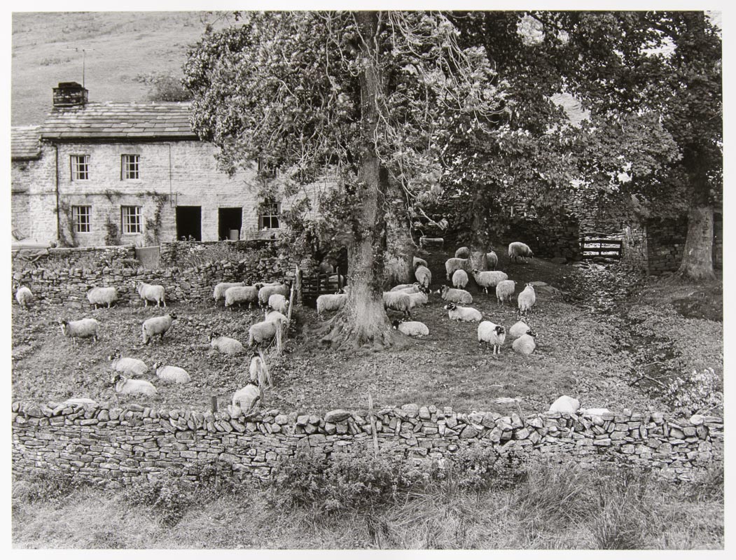 Cotterdale, Wensleydale, Yorkshire