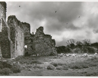 Dunbrody Abbey, Co. Wexford, Ireland