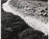 Wade's Causeway, Wheeldale Moor, East Yorkshire