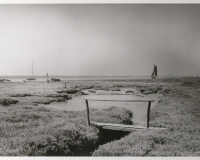 Havergate Island, Suffolk