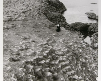 Giant's Causeway, County Antrim, Northern Ireland
